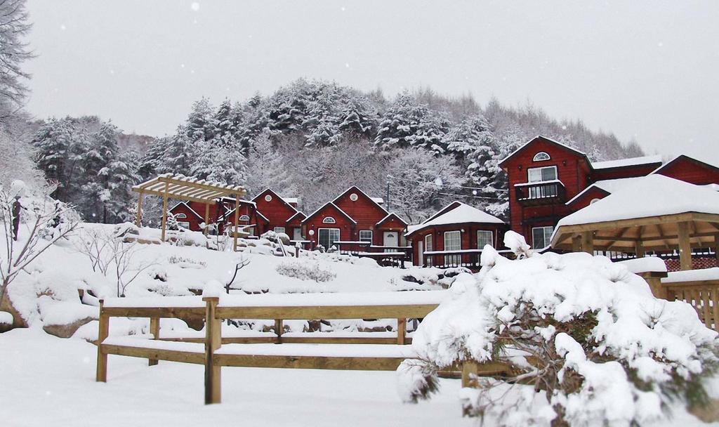 Sisilli Holiday home *